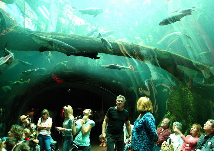 California Academy of Sciences